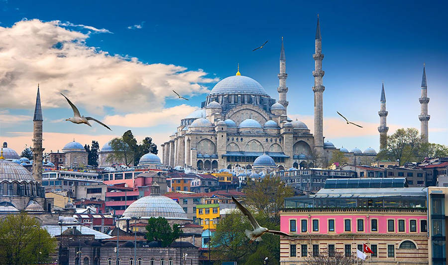 Tour to istanbul-turkey-mosque from USA